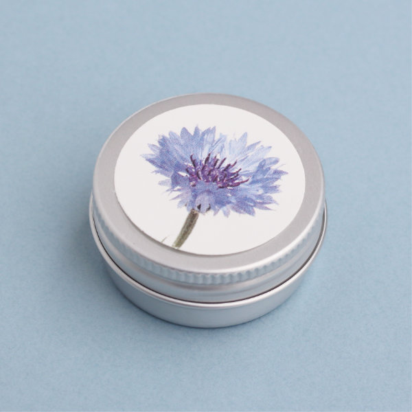 Blaue Kornblumen im Döschen