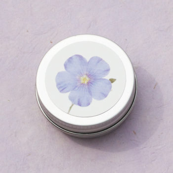 Staudenlein im Döschen