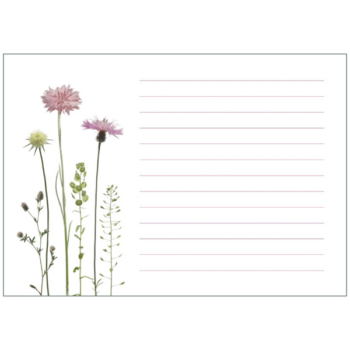 Notizblock mit rosa Flockenblumen