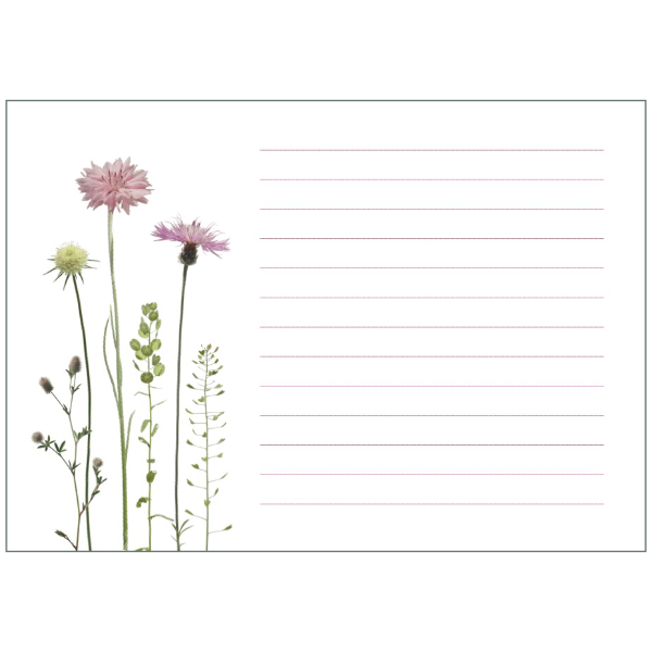 Notizblock mit rosa Flockenblumen