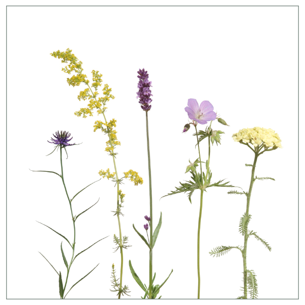 Fliesenaufkleber "Bienenfreunde" in gelb und lila