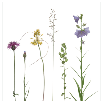 Fliesenaufkleber mit buntem Wiesenmotiv