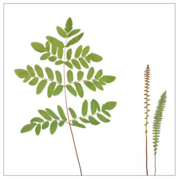 Fliesenaufkleber