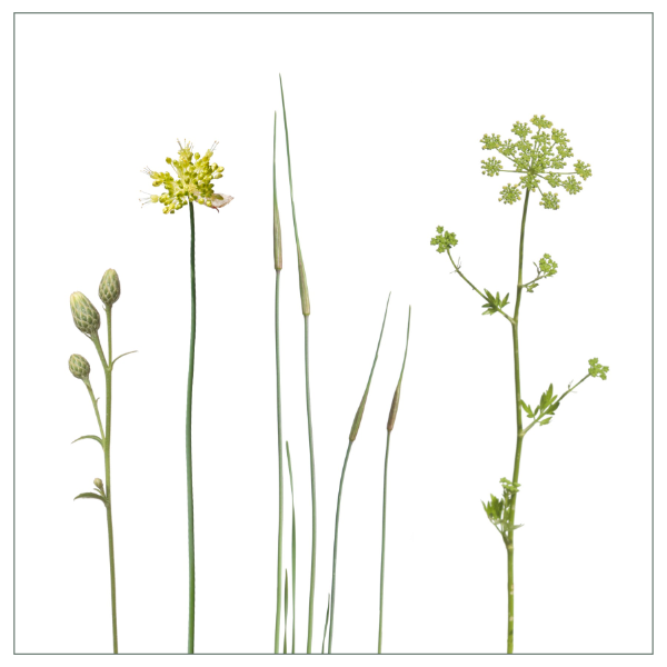 Fliesenaufkleber mit gelbgrünem Wiesenmotiv