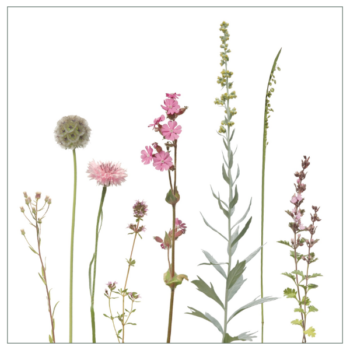 Fliesenaufkleber mit rosa Wiesenmotiv