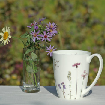 Becher Flockenblume Fine Bone China 250 ml