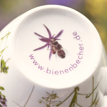 Bodenmarke Bienenbecher - Honigbiene an Alliumblüte