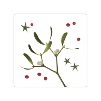Magnet Mistel