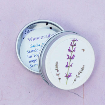 Wiesensalbei im Döschen