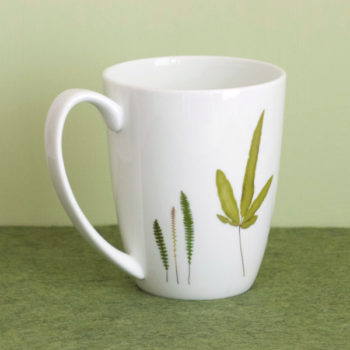 Becher Fine Bone China 