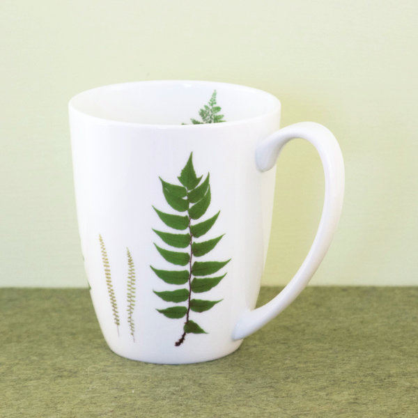 Becher Fine Bone China 250 ml "Farn"