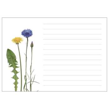 Notizblock mit Löwenzahn und Kornblume, liniert