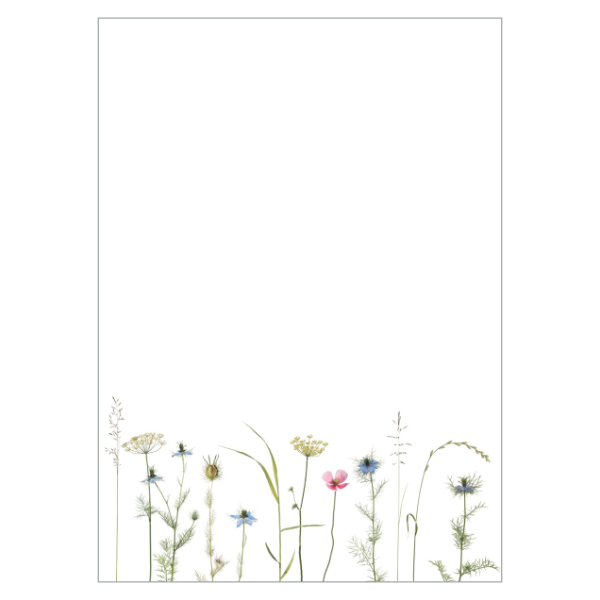 Briefpapier Nigella Einzelbogen