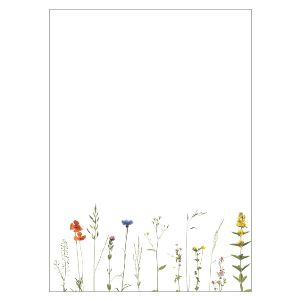 Briefpapier Wilder Sommer Einzelbogen