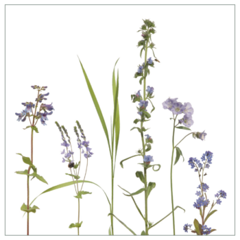 Fliesenaufkleber mit blauem Wiesenmotiv