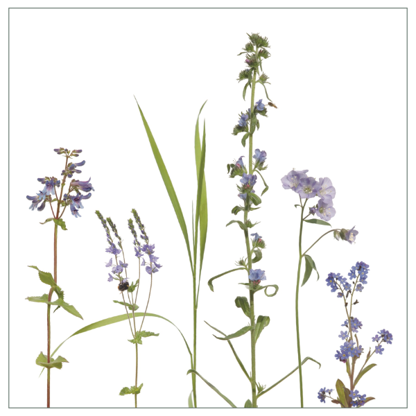 Fliesenaufkleber mit blauem Wiesenmotiv