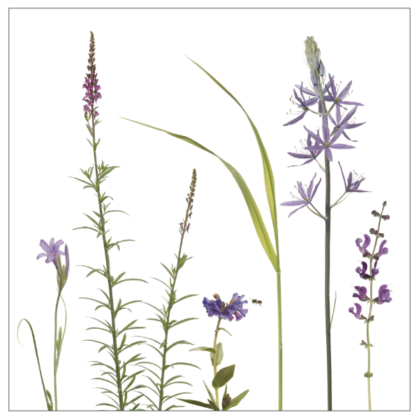 Fliesenaufkleber mit blauem Wiesenmotiv
