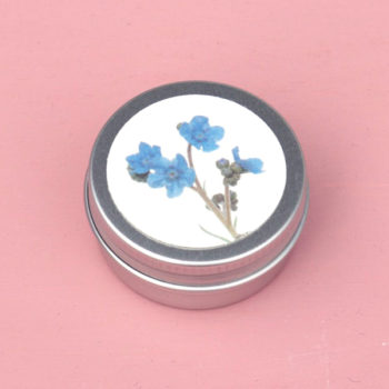 Chinesische Hundszunge im Schraubdeckeldöschen