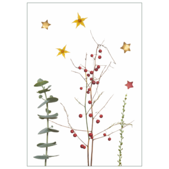 Postkarte 