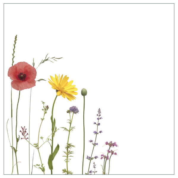Fliesenaufkleber mit buntem Sommerwiesenmotiv