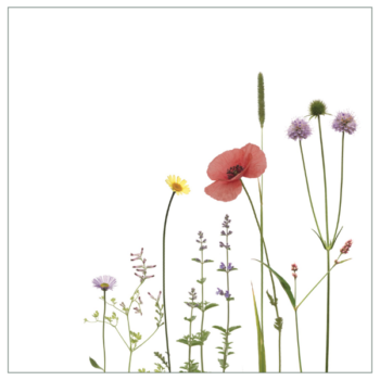 Fliesenaufkleber mit buntem Sommerwiesenmotiv