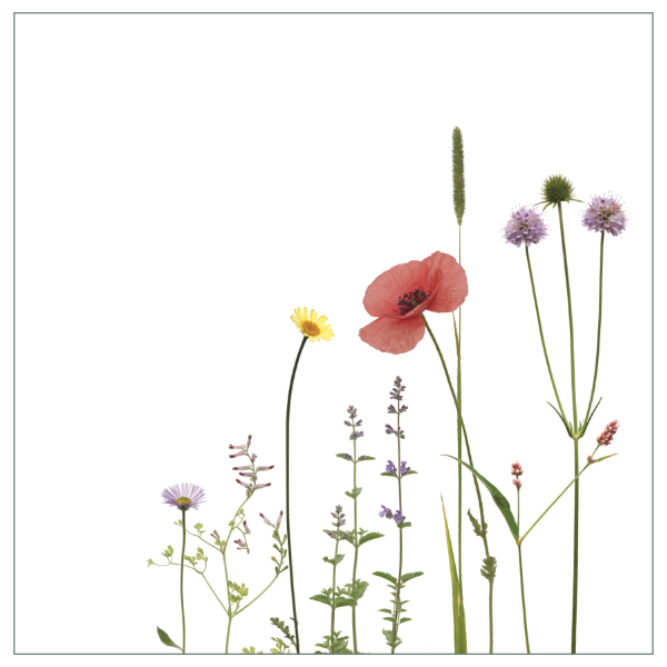Fliesenaufkleber mit buntem Sommerwiesenmotiv
