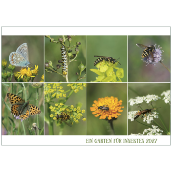 Ein Kalender für Insekten Titel