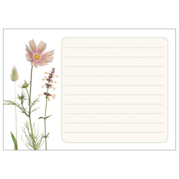 Notizblock ”Apricotta”