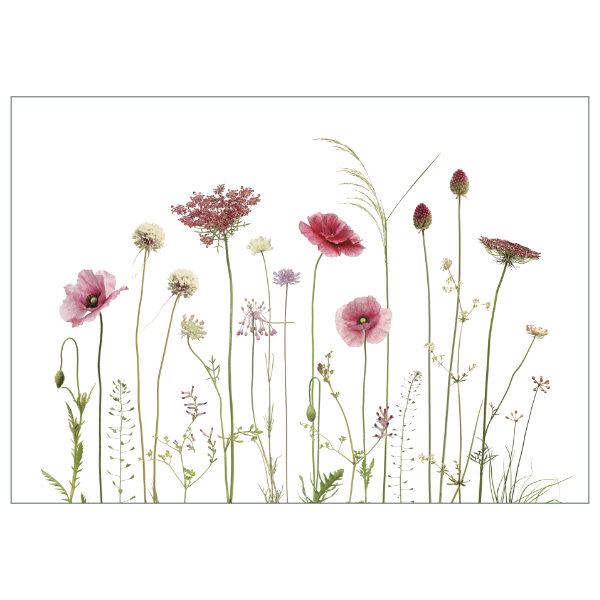 Print A4 "Seidenmohn"
