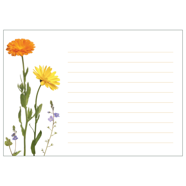 Notizblock liniert mit Ringelblumen-Motiv