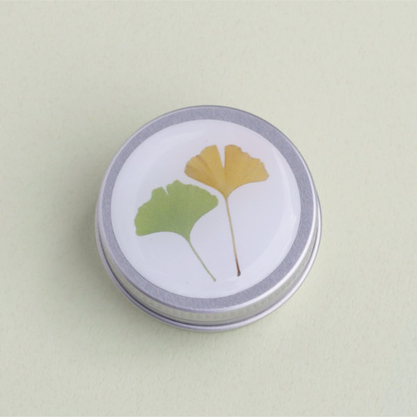 Pillendöschen Ginkgo