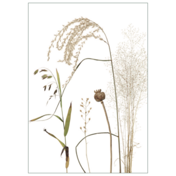 Postkarte 