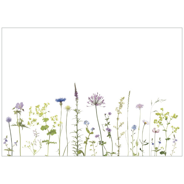 Geburtstagskalender "Blumenwiesen"