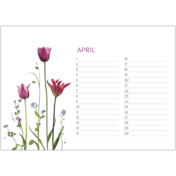Kalenderblatt April - Tulpen und Vergissmeinnicht