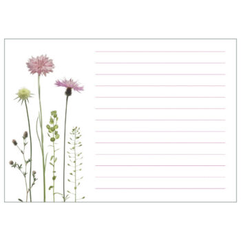 Notizblock "Flockenblumen"