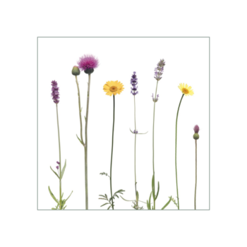 Fliesenaufkleber mit zartem Wiesenmotiv in violett und gelb auf weißem Hintergrund