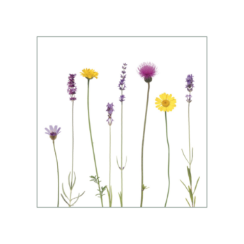 Fliesenaufkleber mit zartem Wiesenmotiv in violett und gelb auf weißem Hintergrund