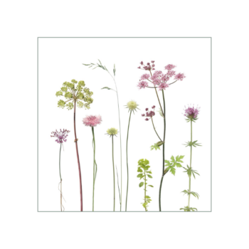 Fliesenaufkleber mit zartem Wiesenmotiv in rosa und grün auf weißem Hintergrund