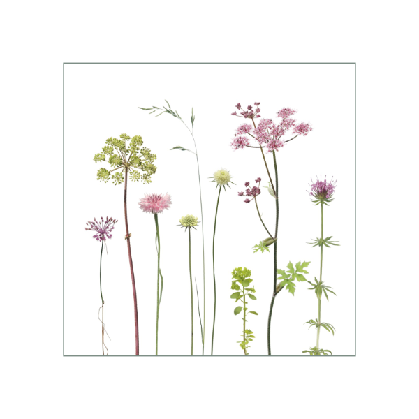 Fliesenaufkleber mit zartem Wiesenmotiv in rosa und grün auf weißem Hintergrund