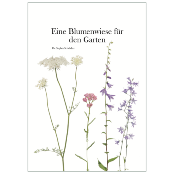 Titelblatt Wiesenbroschüre