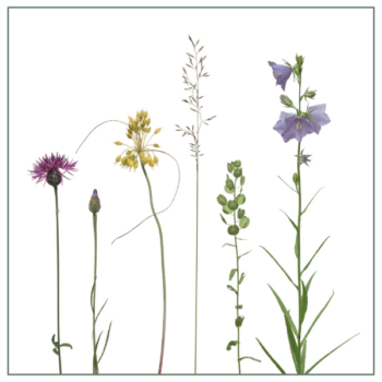 Fliesenaufkleber mit buntem Wiesenmotiv auf weißem Hintergrund