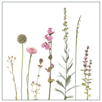 Fliesenaufkleber mit Wiesenmotiv in Rosatonen auf weißem Hintergrund