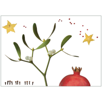 Freigestellter Mistelzweig mit Granatapfel und Fruchtsternen