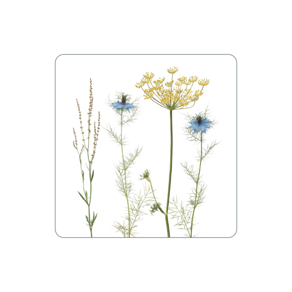 Magnet "Nigella"