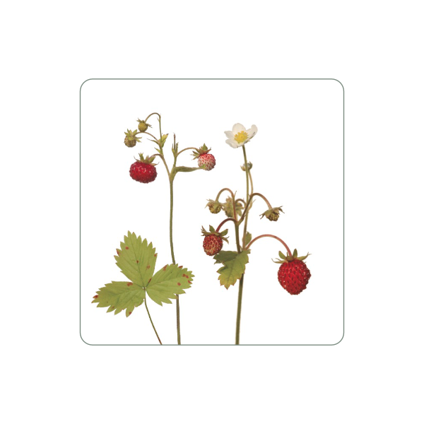 Magnet "Erdbeere"