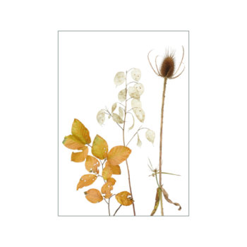 Herbstliches Blätter- und Früchtemotiv auf kleiner Karte in A7