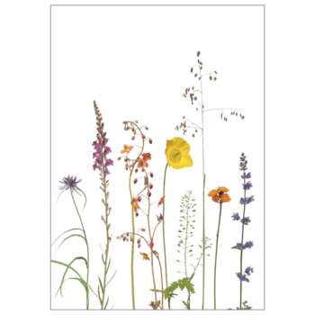 Postkarte 