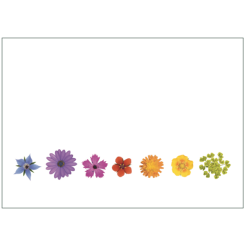Postkarte 