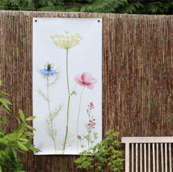 Outdoor-Poster mit Nigella, Seidenmohn und Dill