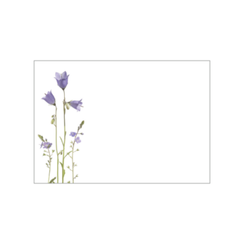 Zierliche Glockenblumen in Lila zieren diesen kleinen Notizblock